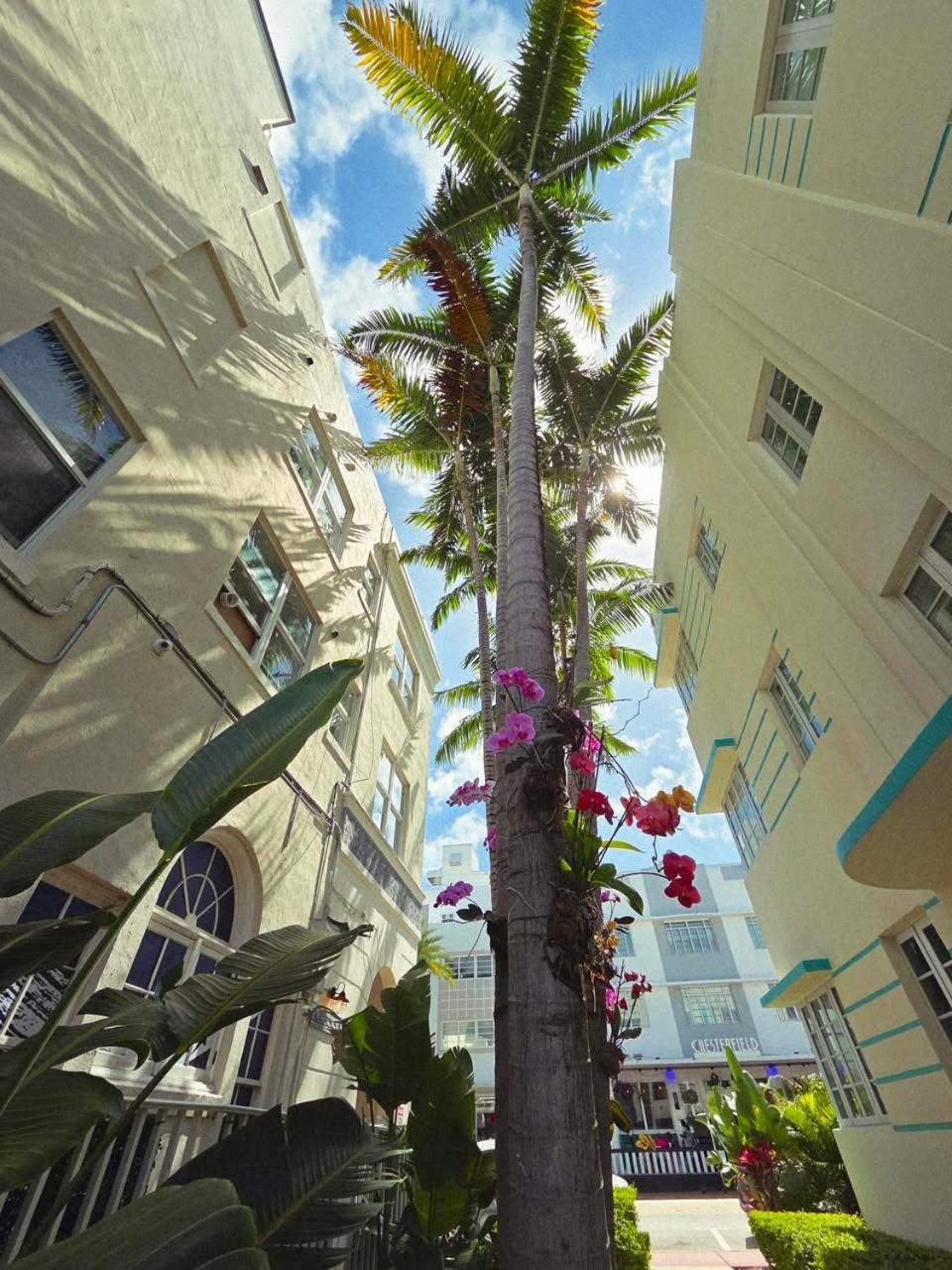 Luxuri Suites Miami Beach Eksteriør bilde